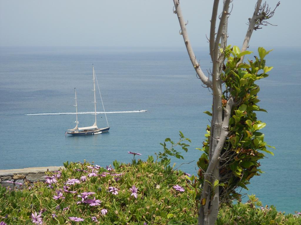 Dream View Hotel Stelida  Dış mekan fotoğraf